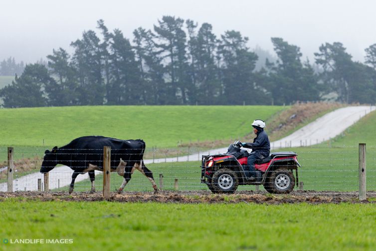 Mawle Farm, Methven, June 2014