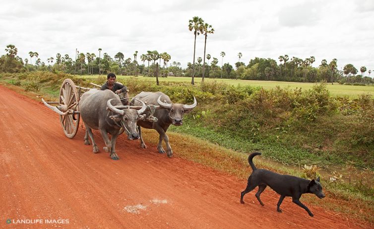 On the road, Vietnam