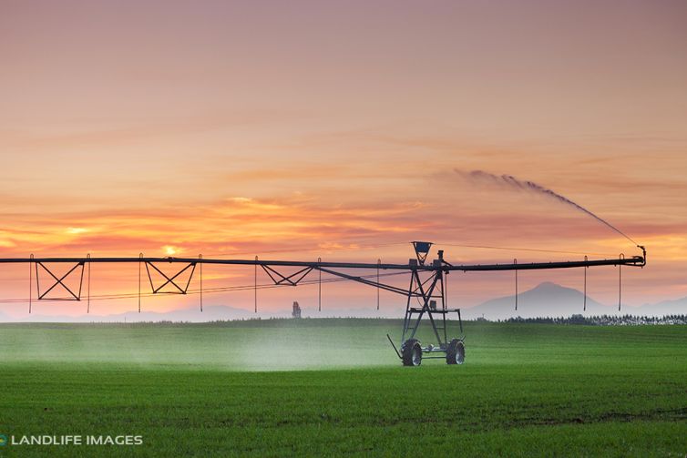 Center Pivot irrigator at sunset, Mid-Canterbury, New Zealand