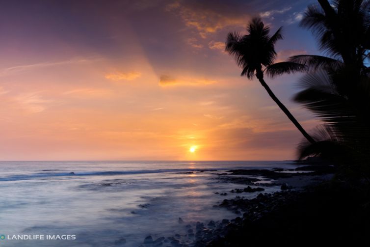 Hawaiian Sunsets