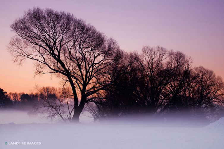 Fog and Snow, Christchurch, New Zealand