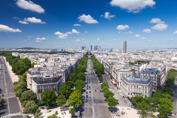 Parisian Street Views