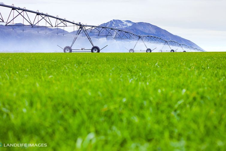 Centre pivot irrigator watering grass, Methven, New Zealand