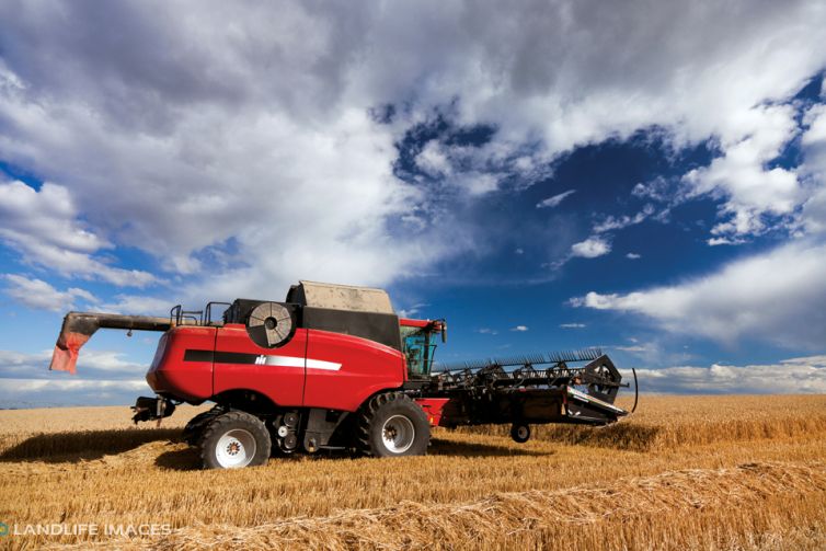 Harvest, Methven New Zealand