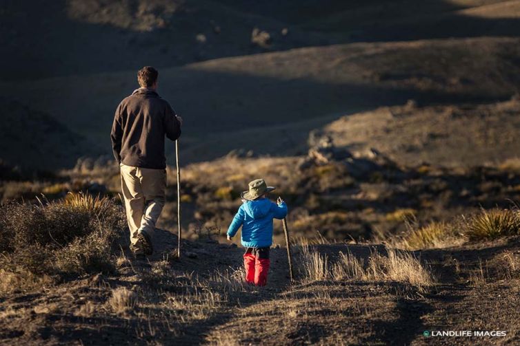 Musterer and his helper, Ranfurly, Otago, New Zealand