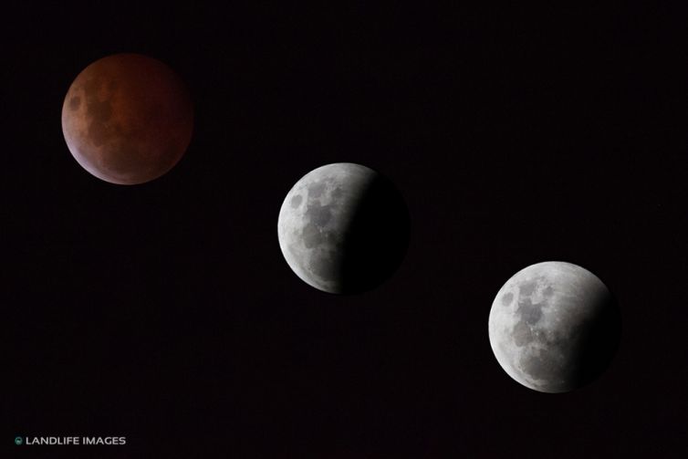 Blood Moon Composite as seen from Christchurch, New Zealand