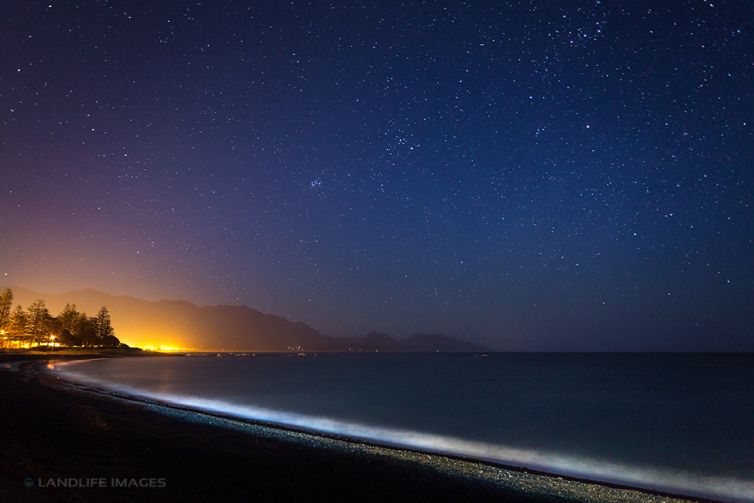 Kaikoura Glow by Night, New Zealand