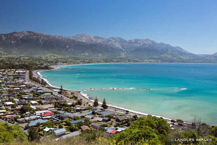 Summer view of Kaikoura