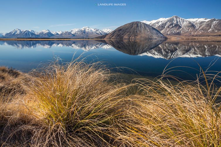 Lake Heron Reflections Beyond the Tussocks, Canterbury, New Zealand