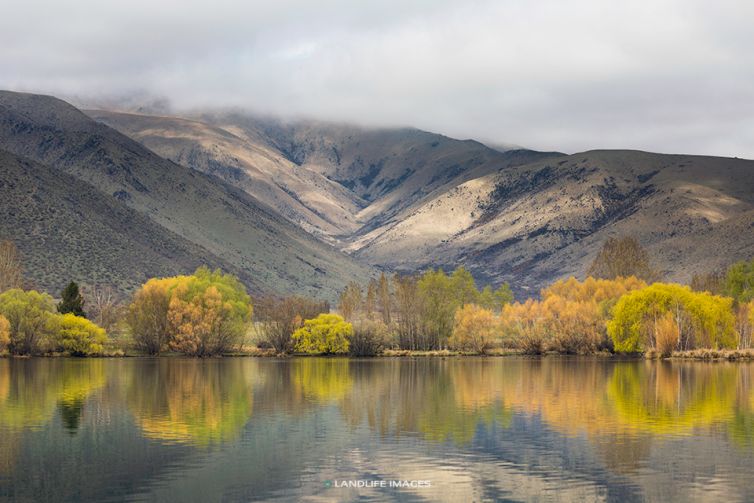 Colours of the Kelland Ponds