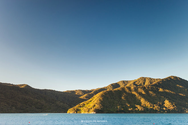 Last light in the Marlborough Sounds