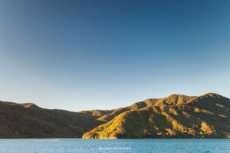 Last light in the Marlborough Sounds