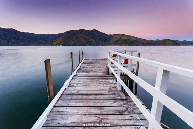 Marlborough Sounds Sunset Wharf Views, New Zealand