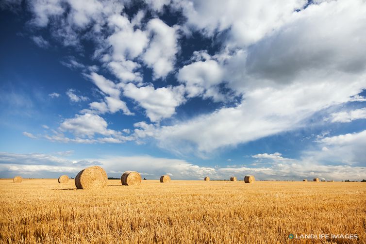 Freshly baled hay, Methven, New Zealand