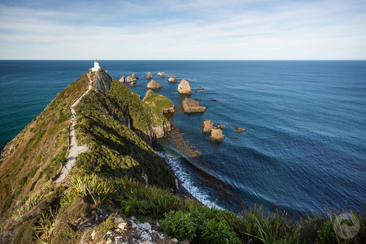 Nugget Point Lighthouse, landscape, Catlins, Southland, New Zealand