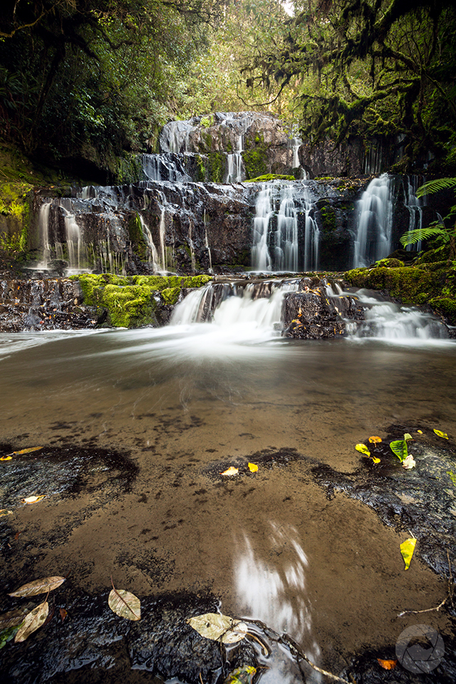 Purakaunui Falls, potrait, Catlins, Southland, New Zealand