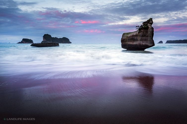 Cathedral Cove Views, Coromandel, New Zealand