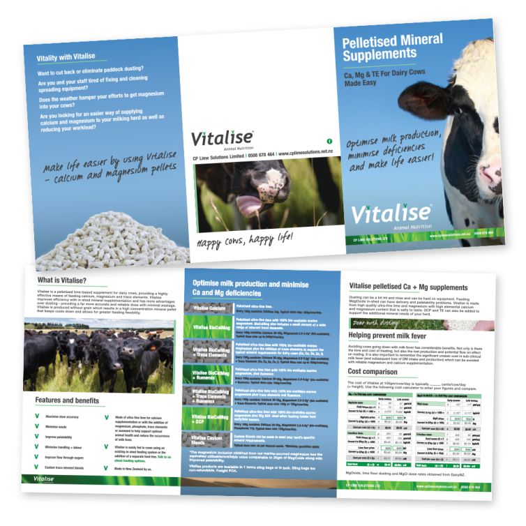 CP Lime Solutions Vitalise A5 6 Panel Brochure