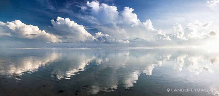 Reflective Rarotongan Sea Panorama