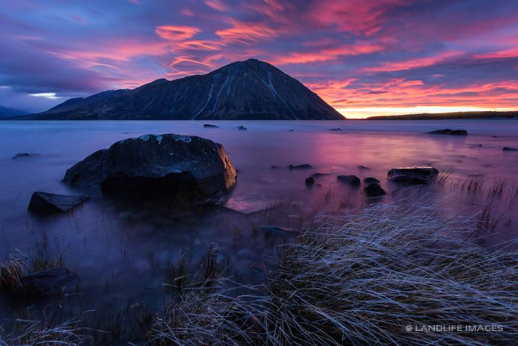 Lake Ohau Sunrise with Tussock Foreground, Landscape