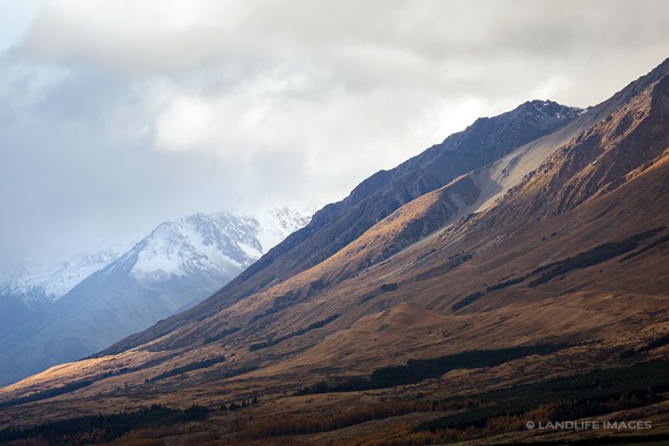 Lake Benmore Hill Surroundings