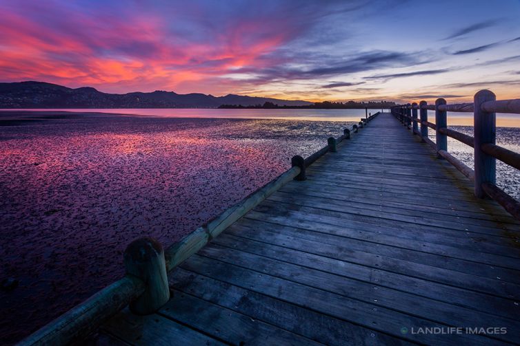 Sunset Wharf, Christchurch, New Zealand