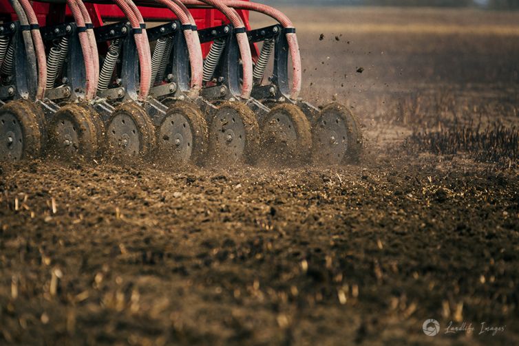 Close up of paddock drilling