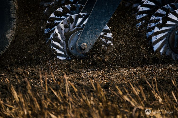 Close up of paddock drilling, Methven, Canterbury, New Zealand