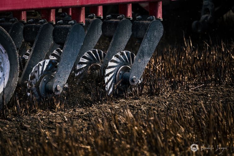 Close up of paddock drilling