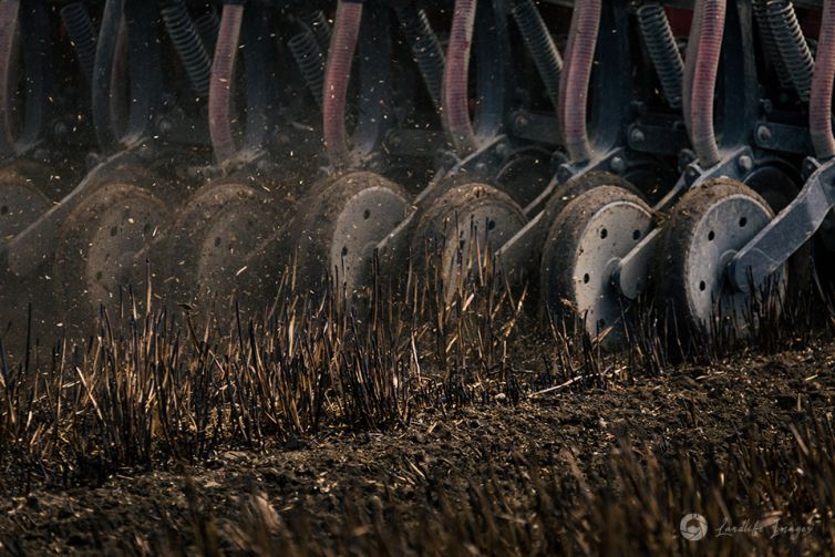 Close up of paddock drilling