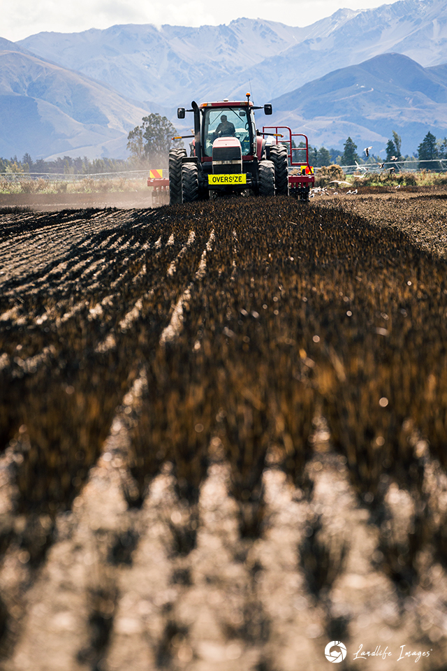 Paddock drilling with mountain backdrop, Methven, Canterbury, New Zealand - portrait dimension