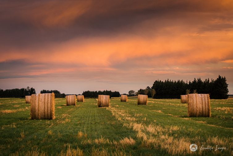 Haybales at sunset, Methven, Canterbury, New Zealand