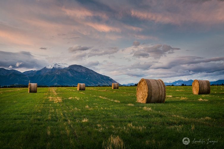 Haybale paddock at sunset leading towards Mt Hutt, Methven, Canterbury, New Zealand