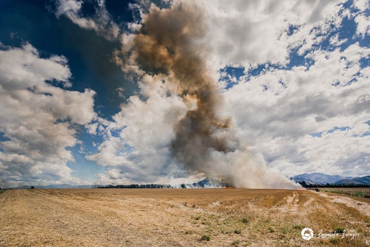 Controlled burnoff of wheat paddock, Canterbury, New Zealand