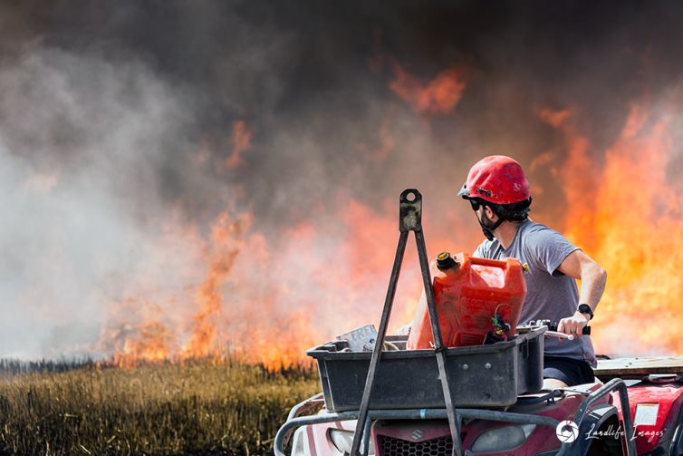 Checking on the burnoff, Canterbury, New Zealand