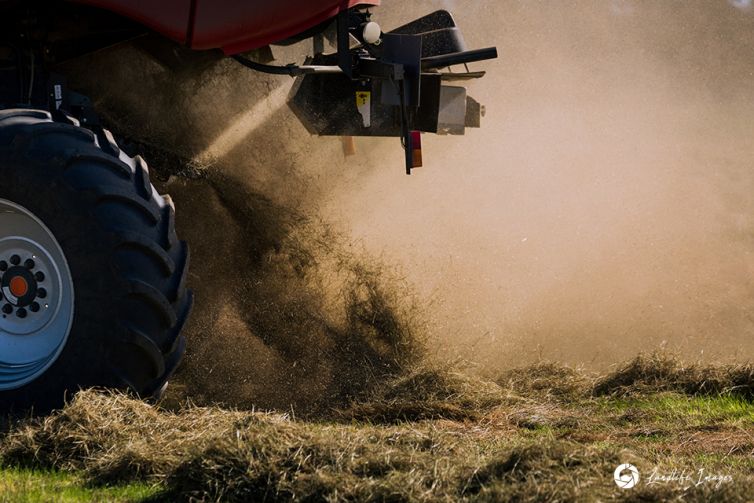 Close up of brown top harvester