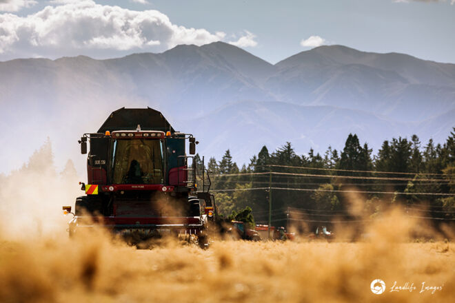 Harvester harvesting brown top with mountain backdrop, Methven, Canterbury, New Zealand