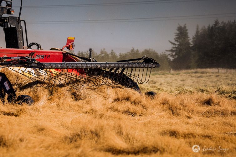 Close up of harvester harvesting brown top